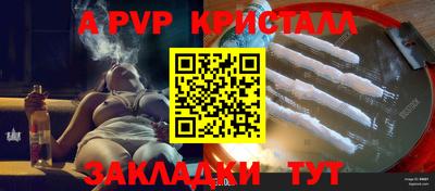 дживик Кингисепп